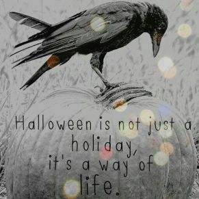 0bc677b2112db6434594ee2a1fc61793