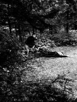 12048645_10207653916055527_1619054454_n (1)goose