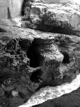 12048866_10207654013697968_111755654_n