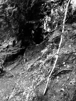 12064373_10207653912575440_248600396_ngoose