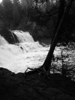 12067960_10207654014217981_399083477_ngoose