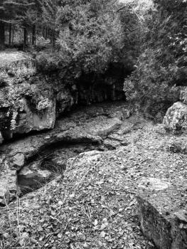 12071591_10207654100660142_1469115529_ntemp