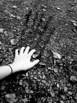 12071613_10207654100460137_1120789736_ntemp