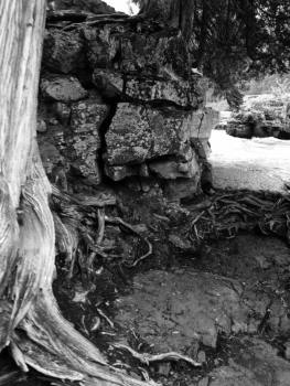 12077072_10207654013817971_587812678_n