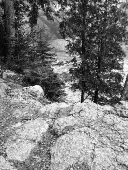 12080782_10207653960016626_1138798181_n