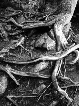 12083957_10207654014177980_71762778_n