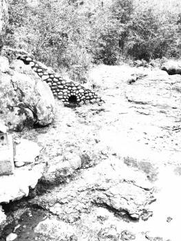 12087511_10207654013937974_638768051_ntemp