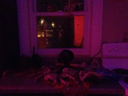 Halloween decorations