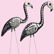 0294a4996de36e05505f694585e37b38