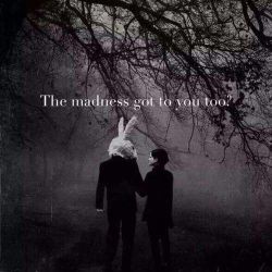 697771b972bb9ca72c9b0c431dd13cdc